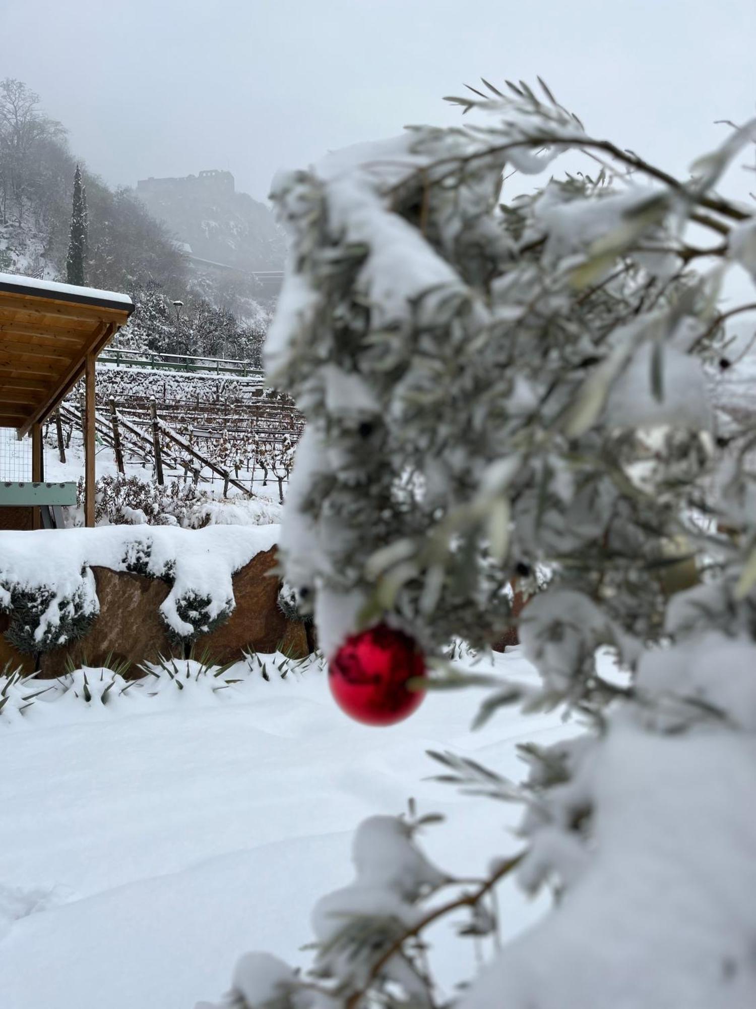 Apartmán Egarter Appiano Sulla Strada Del Vino Exteriér fotografie