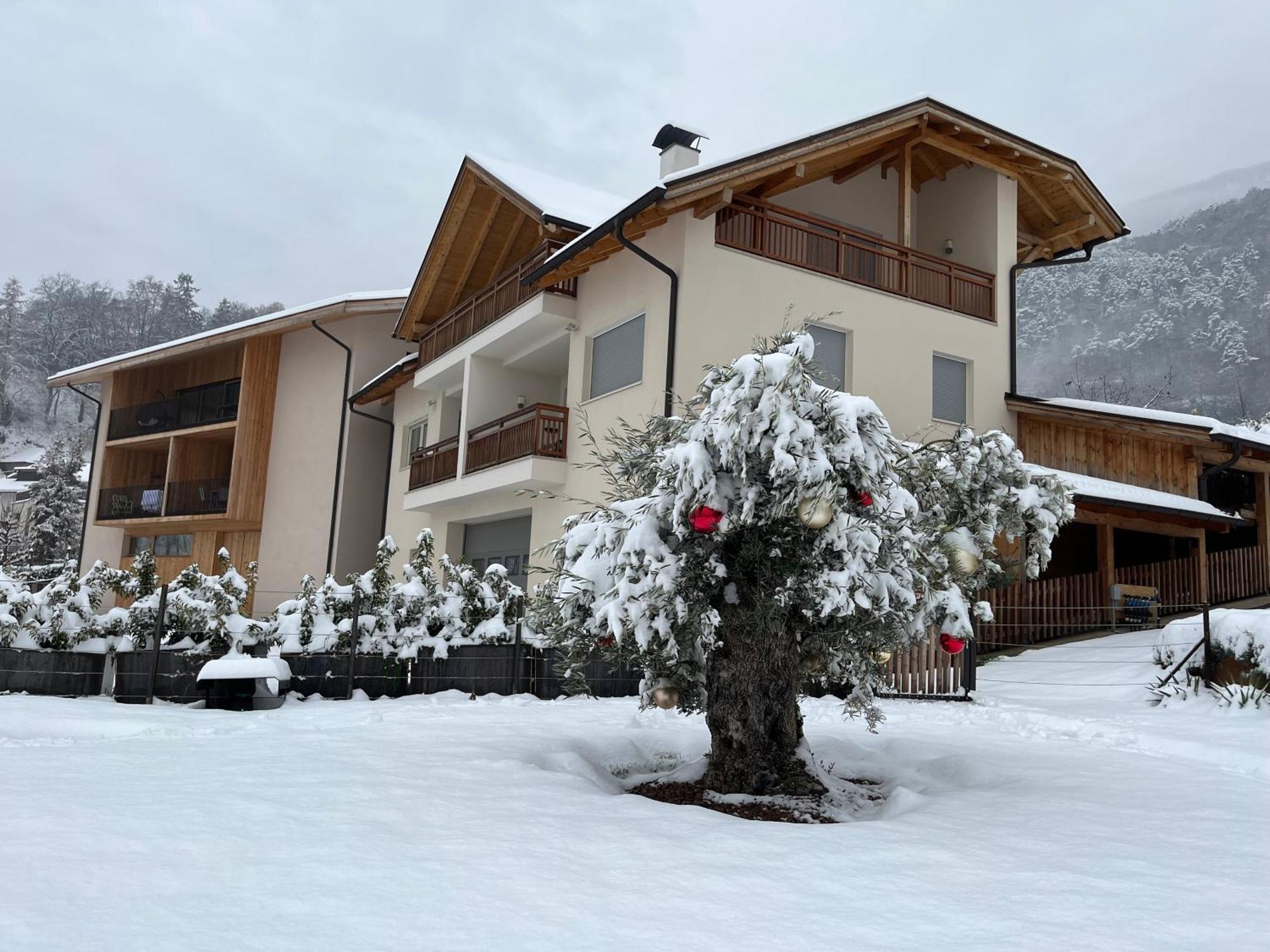 Apartmán Egarter Appiano Sulla Strada Del Vino Exteriér fotografie